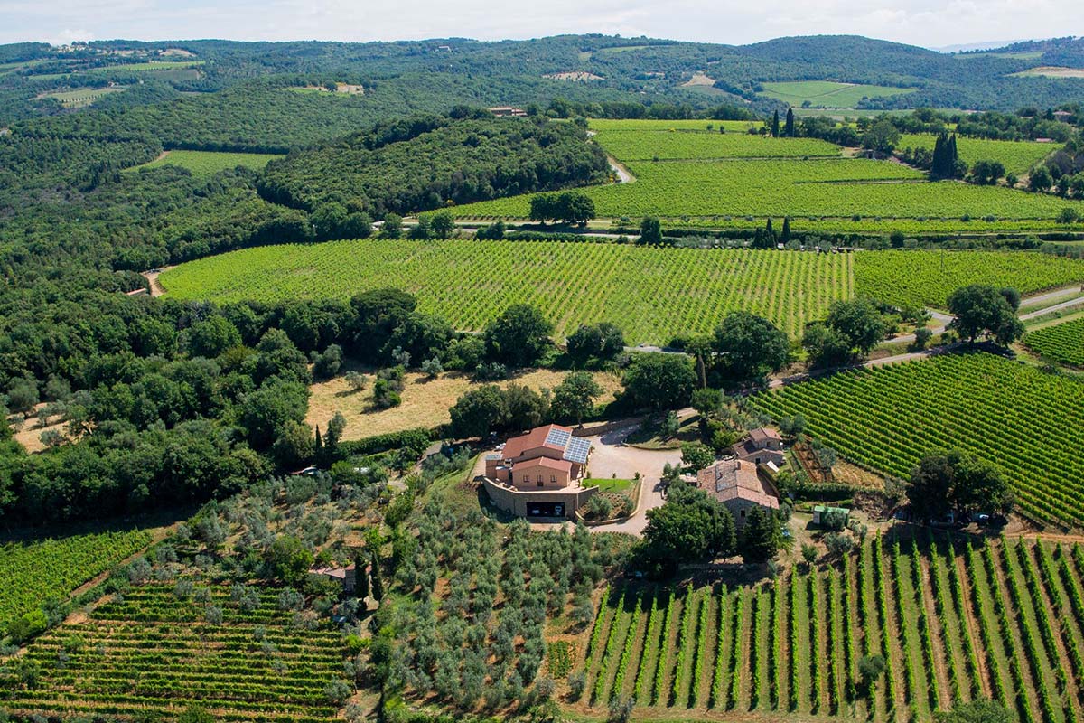 azienda agricola collemattoni