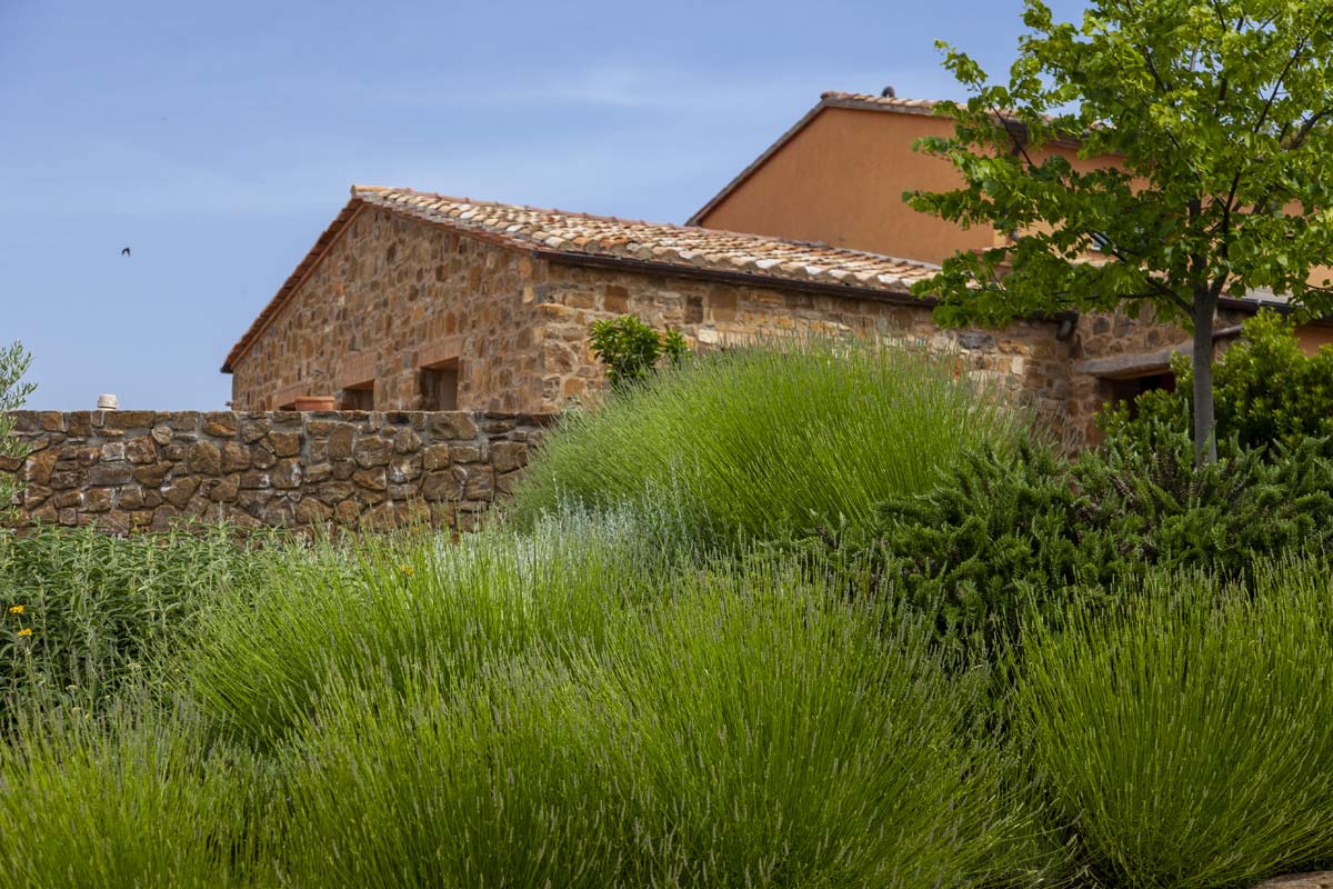 azienda agricola collemattoni