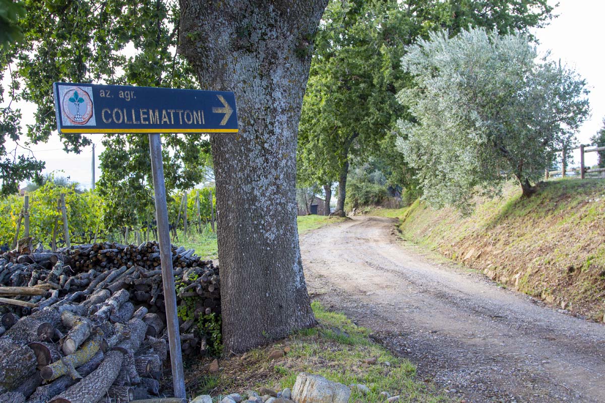 azienda agricola collemattoni